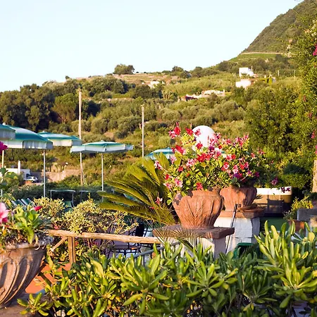 Poggio Del Sole 3* Forio di Ischia
