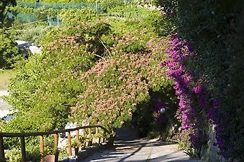 Poggio Del Sole 3* Forio di Ischia